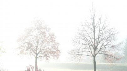 Nebel im November