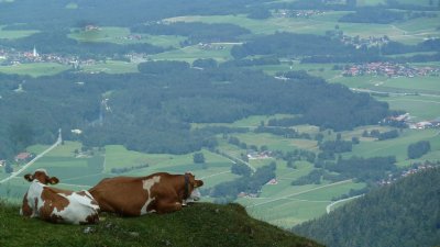 zwischen Chiemgau und Kampenwand