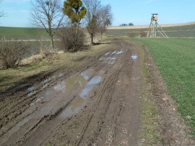 Wander- und Radweg Beichlingen - Hemleben